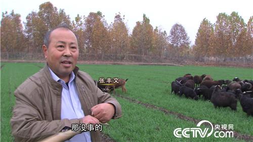 [致富经]没人敢吃的羊肉 一斤如何卖出300多 20161219