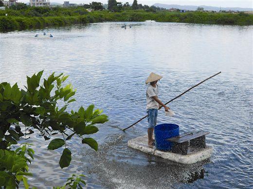 致富经养河虾_致富经淡水虾养殖视频_致富经养虾