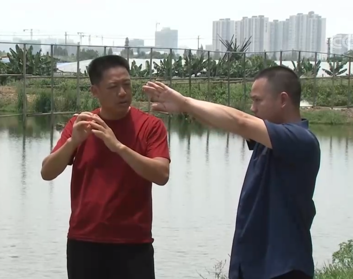 致富经养殖虾_致富经养虾_致富经淡水虾养殖视频