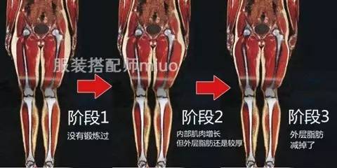 心得减肥真实经验总结_真实减肥经验心得_减肥心得怎么写
