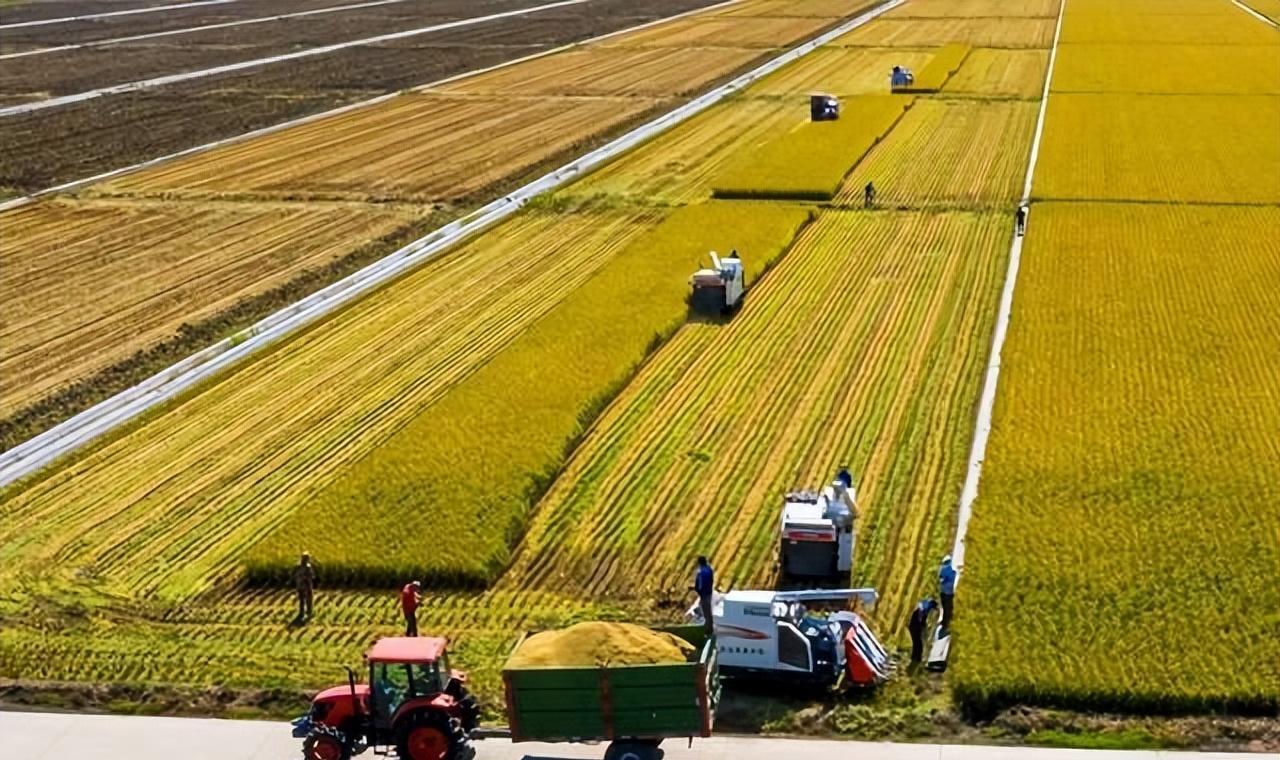 优质粮食工程典型经验交流_粮食优质工程典型经验发言_优质粮食工程总结