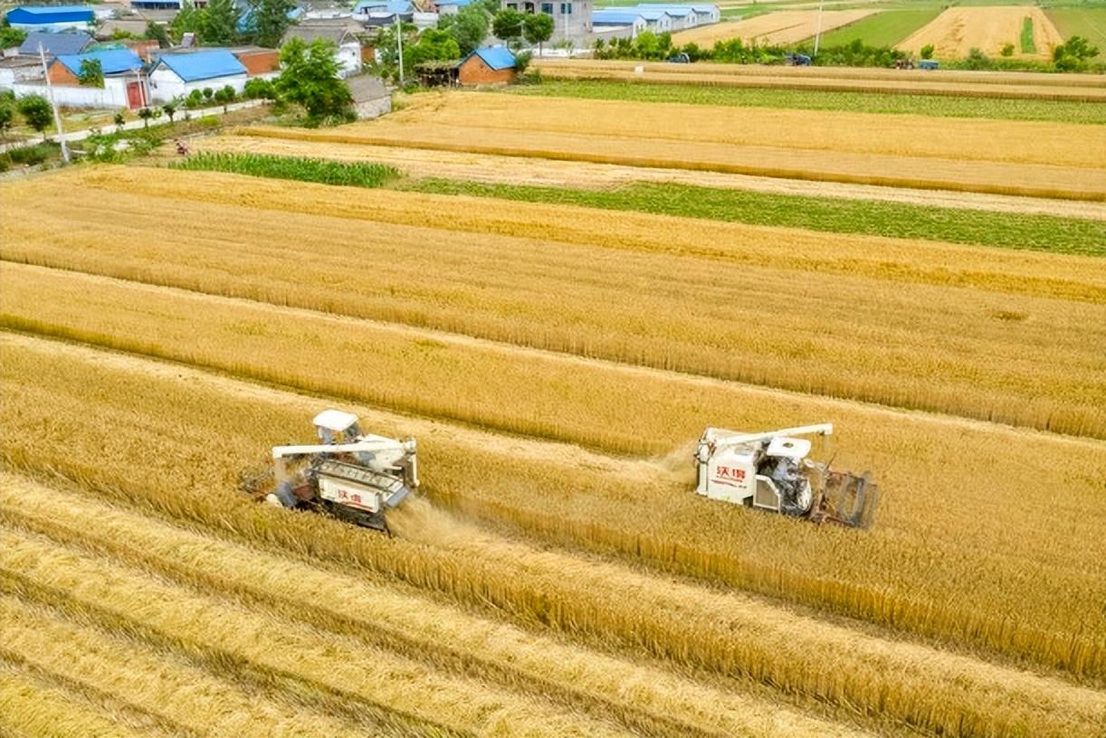粮食工作交流材料_优质粮食工程典型经验交流_优质粮食工程总结