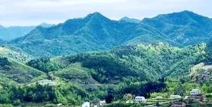 中篇小说连载：祸起南山 1