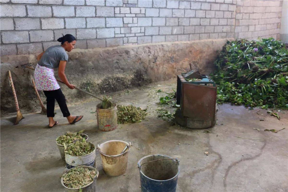 致富经养猪_致富养猪场下载_致富养猪如何玩