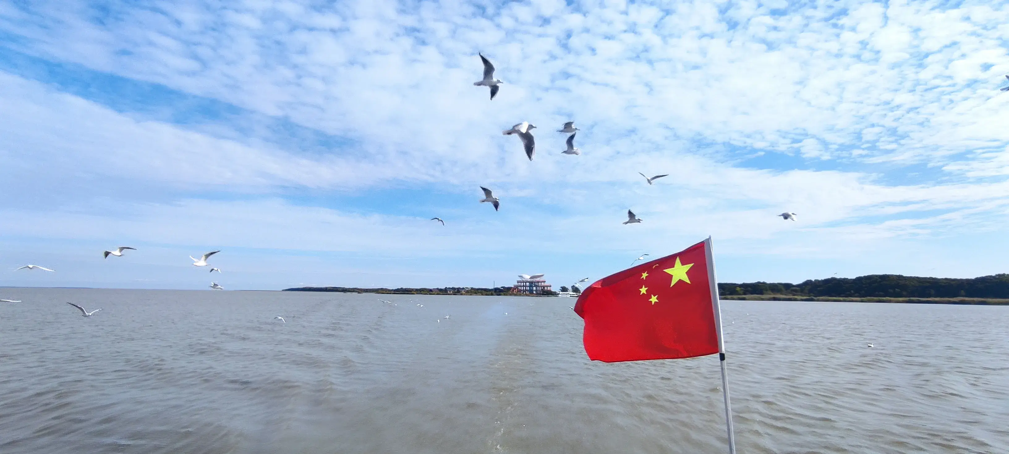 优质粮食工程典型经验交流_粮食优质工程典型经验发言_优质粮食工程总结