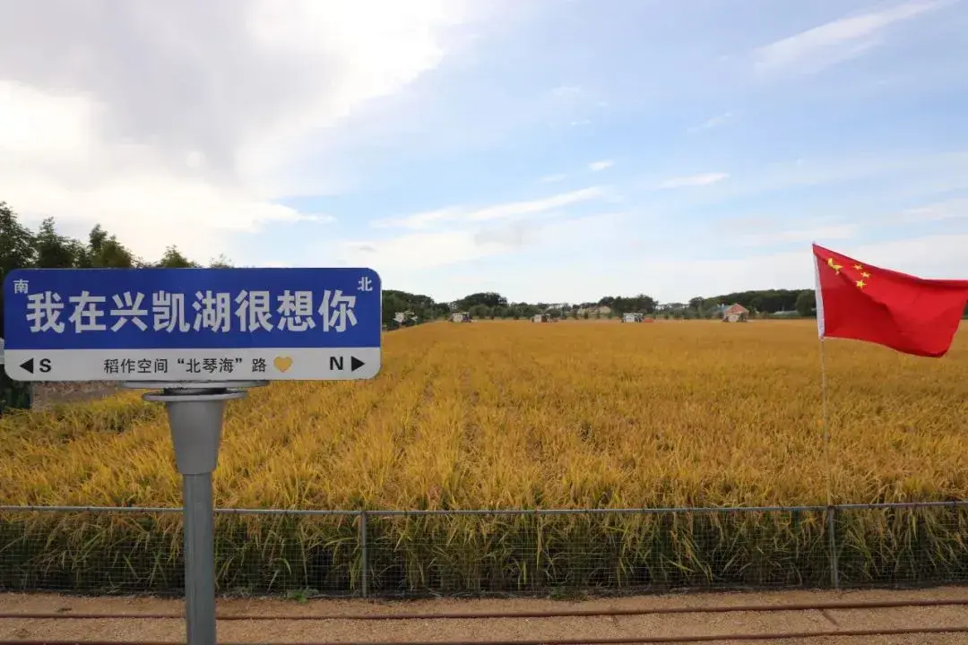 优质粮食工程典型经验交流_粮食优质工程典型经验发言_优质粮食工程总结