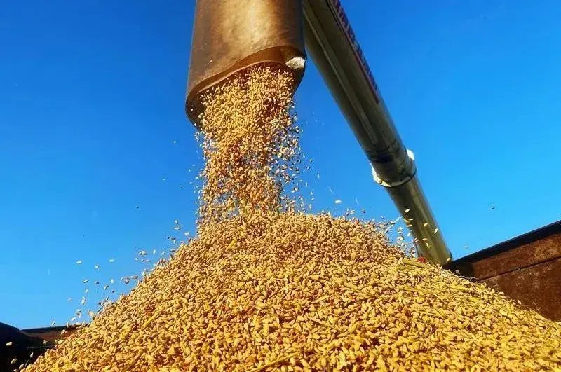 优质粮食工程典型经验交流_优质粮食工程总结_粮食优质工程典型经验发言