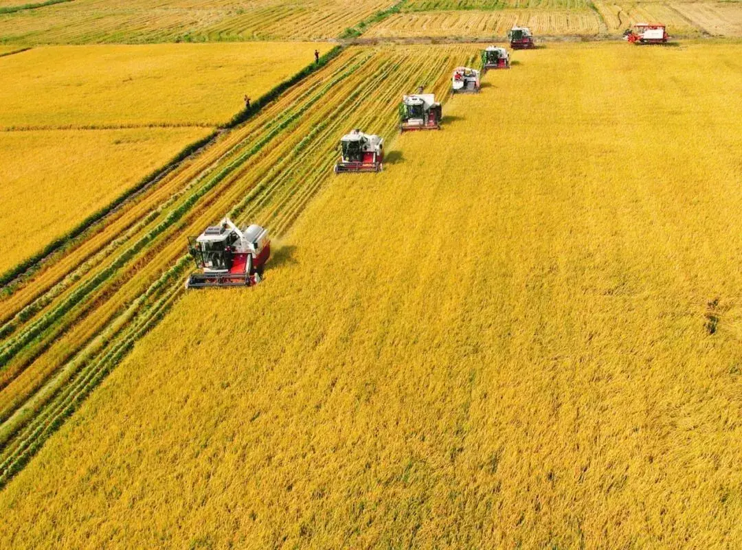粮食优质工程典型经验发言_优质粮食工程典型经验交流_优质粮食工程总结