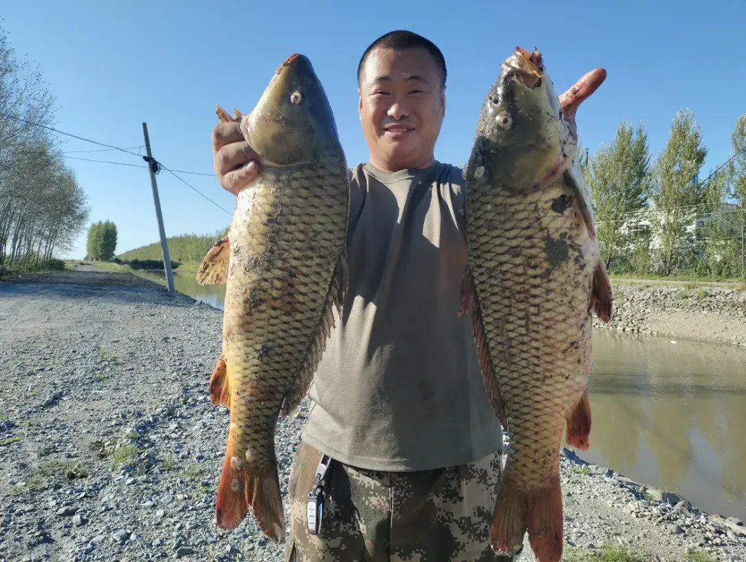 优质粮食工程典型经验交流_优质粮食工程总结_粮食优质工程典型经验发言