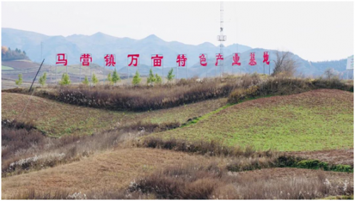 致富经马_长沙交警马致富_马致富临沂