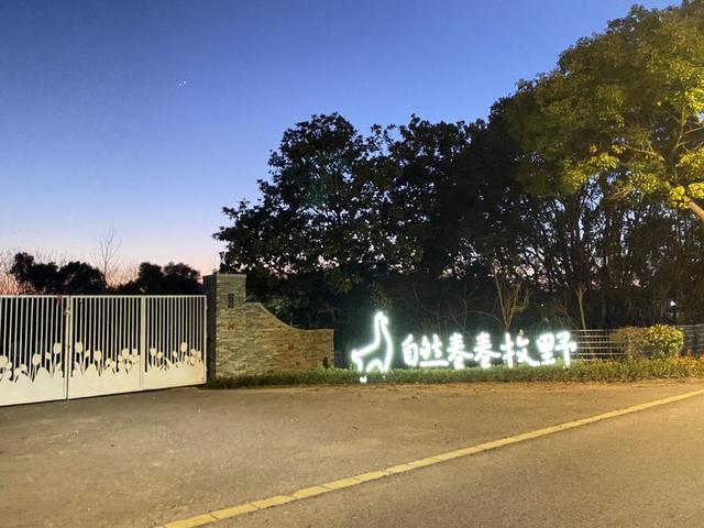 怎样致富致富_致富经羊_致富羊群满山跑