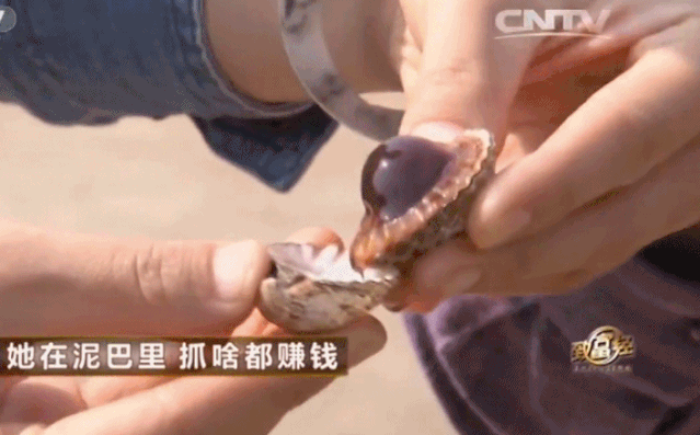 致富经创业项目养鱼_如何养鱼致富_致富经养鱼