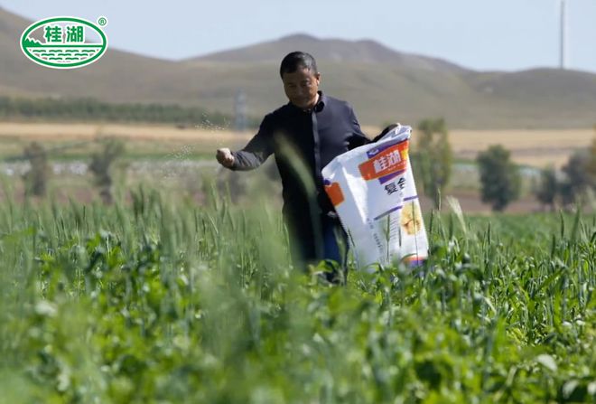 致富张大良养黄鳝视频_怎样致富致富_致富经张
