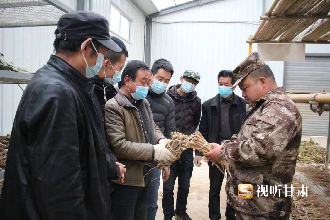 致富鸡汤_致富经鸡_致富经养鸡视频大全