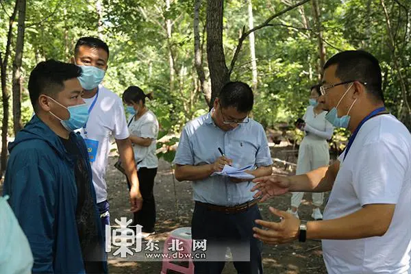 致富经养鸡_致富养鸡视频_致富新项目养鸡