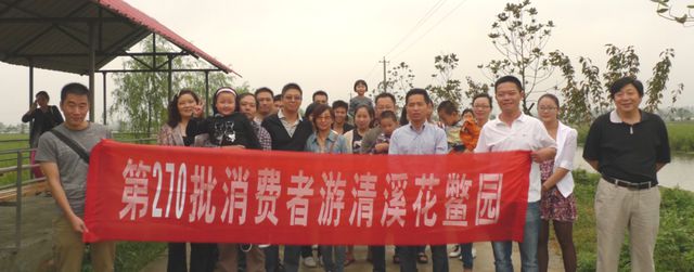 致富经鱼_致富鱼游出产业振兴路_致富鱼丰收
