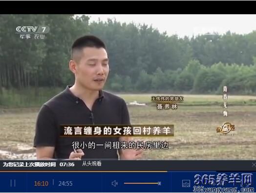致富经养羊女强人