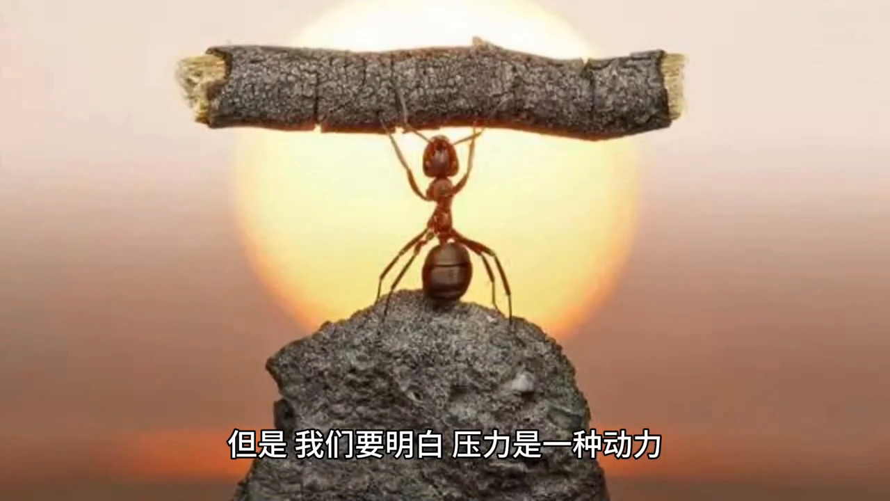 人物经验心得_人物心得体会怎么写_心得人物经验分享范文