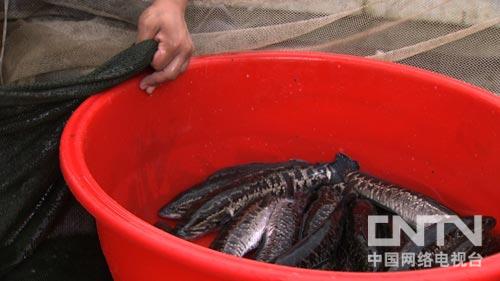 致富经官网_致富网下载_致富app官网下载
