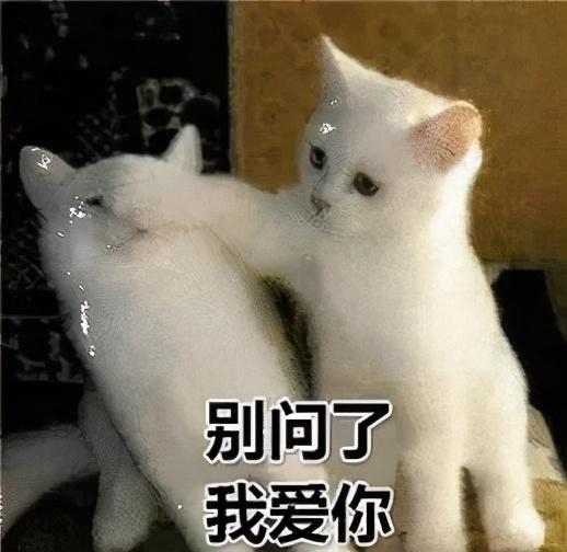 神武经验心得_神武人物经验心得_神武经验心得收益减半