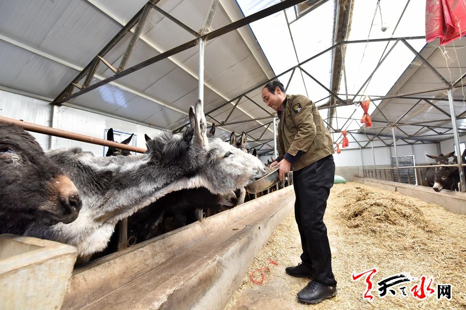 养驴致富经_致富经养驴_养驴致富视频