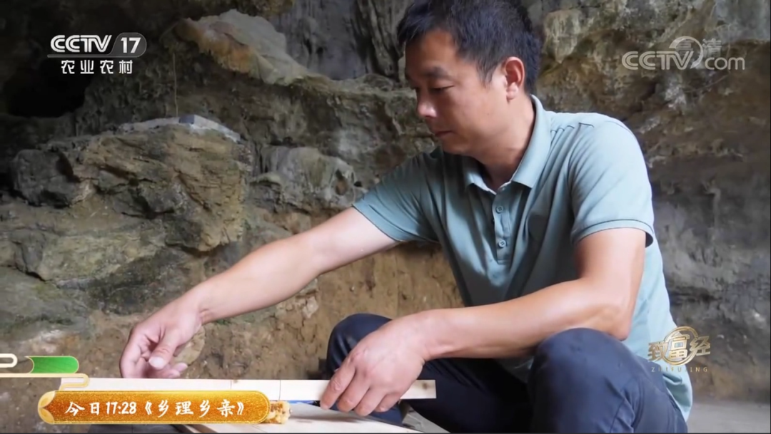 央视致富节目_央视致富经2021全集视频_央视致富经