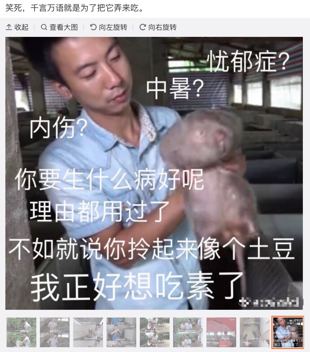 致富经养蛇视频大全_养蛇致富经_养蛇致富女蛇毒44亿