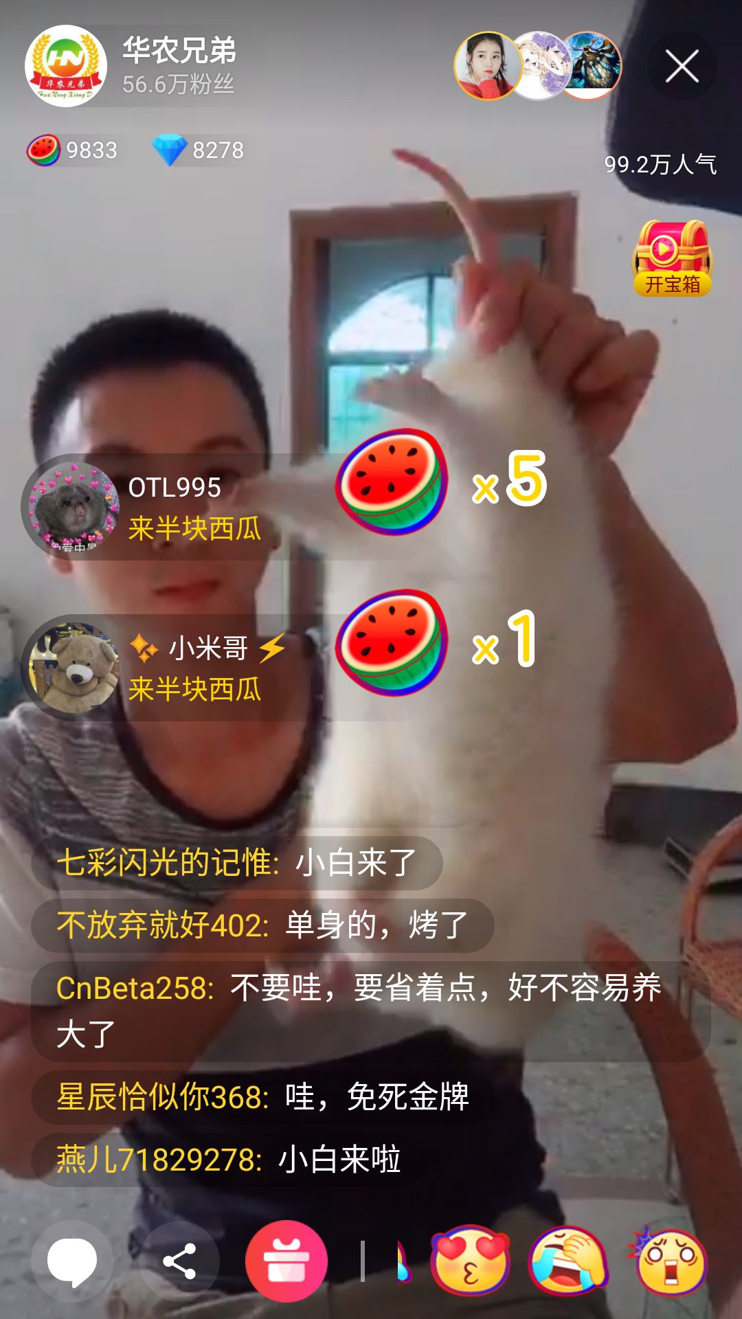 养蛇致富经_养蛇致富女蛇毒44亿_致富经养蛇视频大全