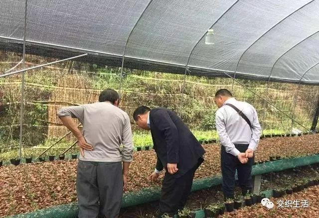 致富经项目_农村致富项目_致富项目商机