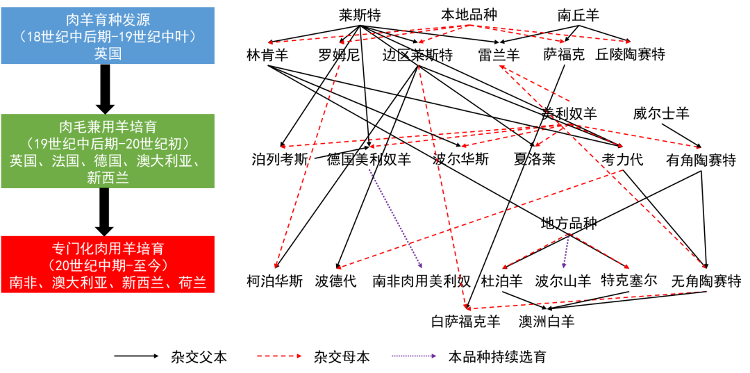 致富养羊能手资料_养羊致富经2020年全集_养羊致富经