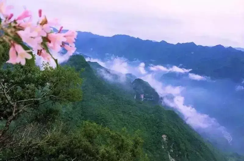 学习韩城经验心得体会_“心得体会”_心得体会和经验教训