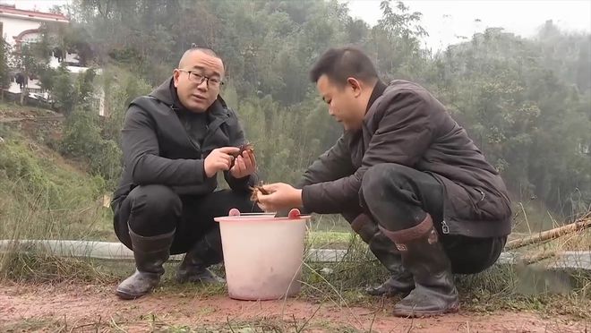 致富经养殖小龙虾_致富经龙虾养殖技术视频_致富经龙虾养殖