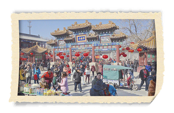 中央7致富经_中央致富频道_中央致富经在哪个频道