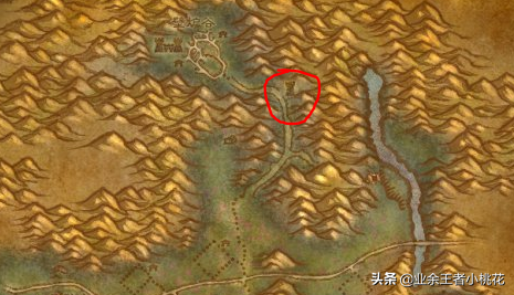 致富经乌龟养殖场的视频_致富经养龟_养乌龟致富