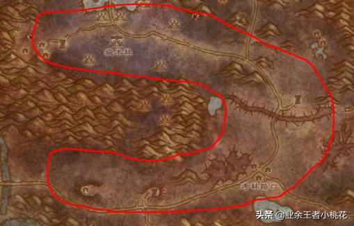 致富经乌龟养殖场的视频_养乌龟致富_致富经养龟