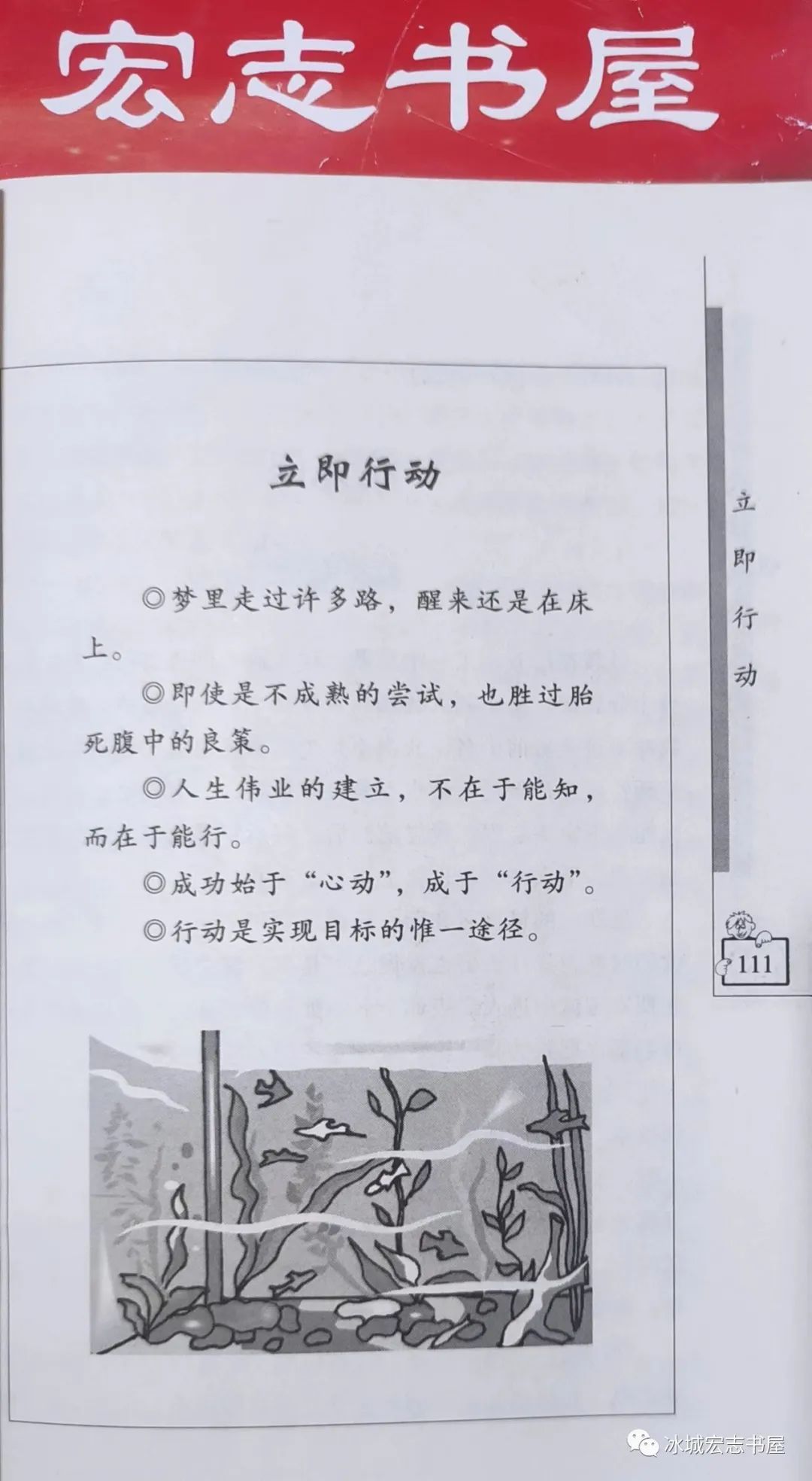 致富张大良养黄鳝视频_致富经张_致富经张