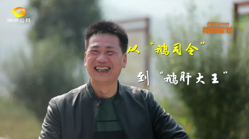 三农致富养鹅视频_养鹅视频大全_致富经养鹅视频