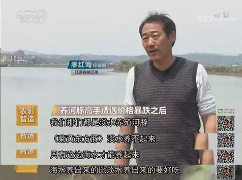 致富三农视频养鱼_致富三农种植_三农致富经