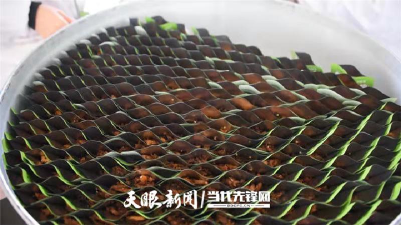 致富农民有情怀打一成语_致富农民劳动的精神_农民致富经