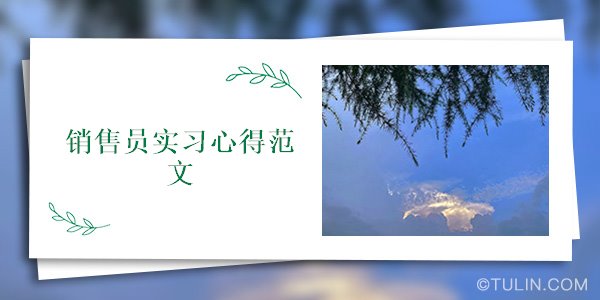 销售员实习心得范文