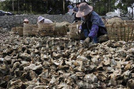 农广致富经_致富经每日农经_每日农经致富经