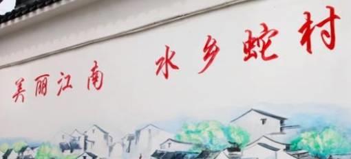 致富经养殖毒蛇视频_养蛇致富经_致富经蟒蛇养殖