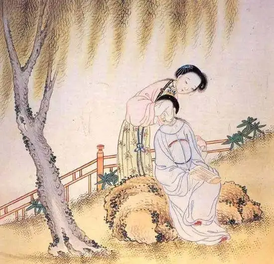 致富黄金叶_致富经黄_致富黄金叶乐了烟农