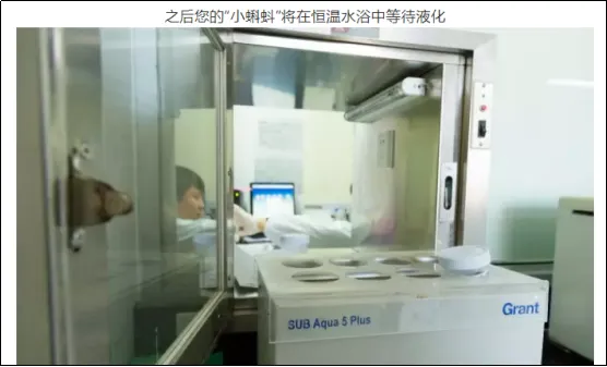 中央致富频道视频_中央7套致富经全集_中央台致富节目有哪些