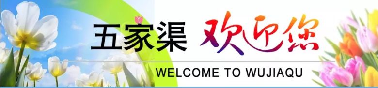 周正奎和他的养鸡致富经