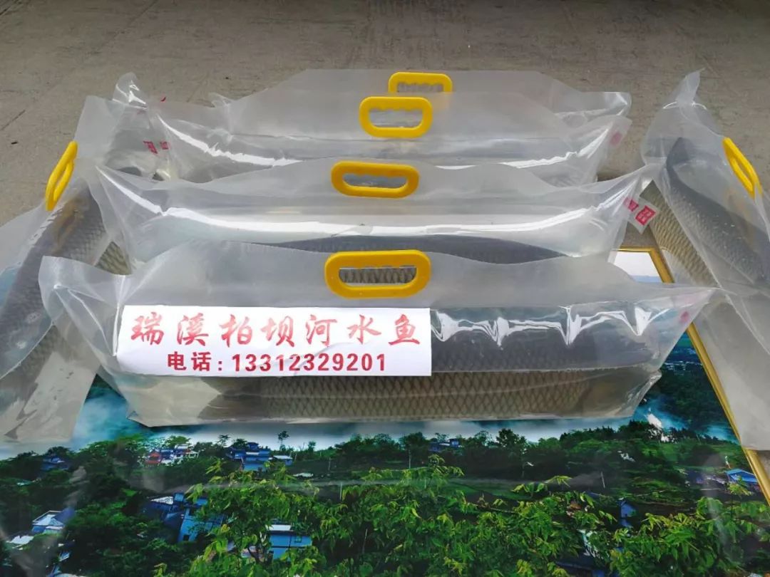 致富栏目剧_致富栏目视频_致富经栏目