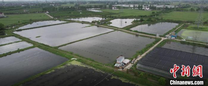 致富经淡水虾养殖视频_致富经养虾_致富经养殖虾
