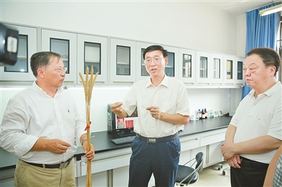 成效作物优质推广经验总结_优质作物推广成效及经验_成效作物优质推广经验怎么写