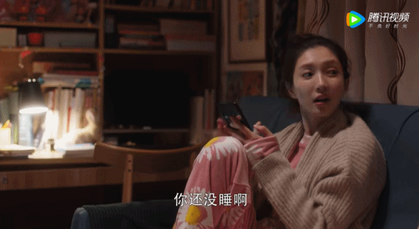 养狗致富经_致富经养狗_致富项目养狗