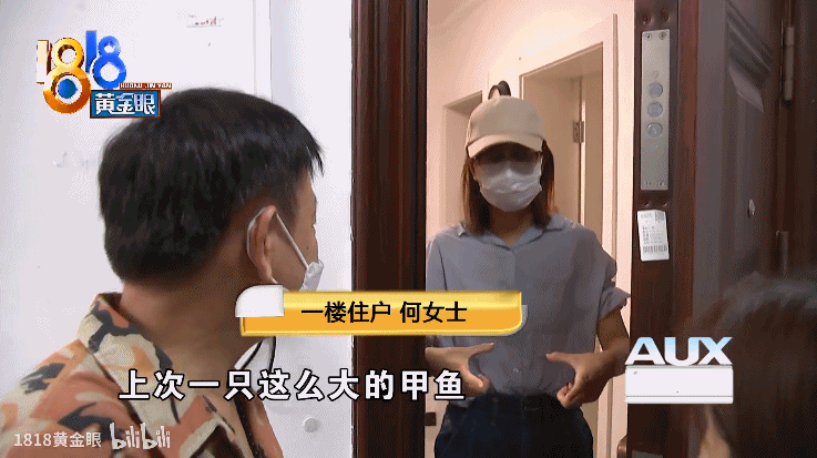 致富项目养狗_养狗致富经_致富经养狗